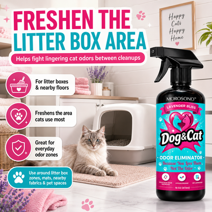 Pet Odor Eliminator Spray, Enzymatic Cleaner for Dog & Cat Urine, Carpet, Furniture & Litter Box, Lavender, 16 oz