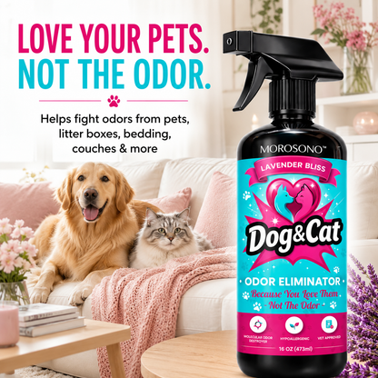 Pet Odor Eliminator Spray, Enzymatic Cleaner for Dog & Cat Urine, Carpet, Furniture & Litter Box, Lavender, 16 oz