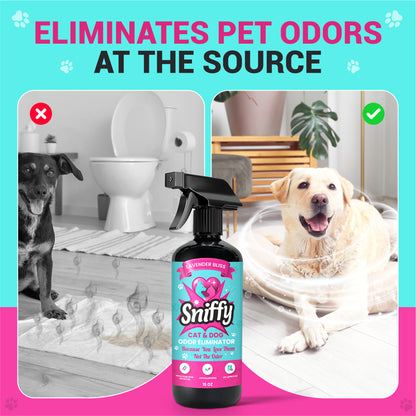 Sniffy Pet Odor Eliminator Spray (2×16oz) – Lavender Bliss | Cat & Dog Urine & Litter Box Smell